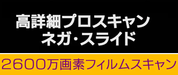 プロスキャン
